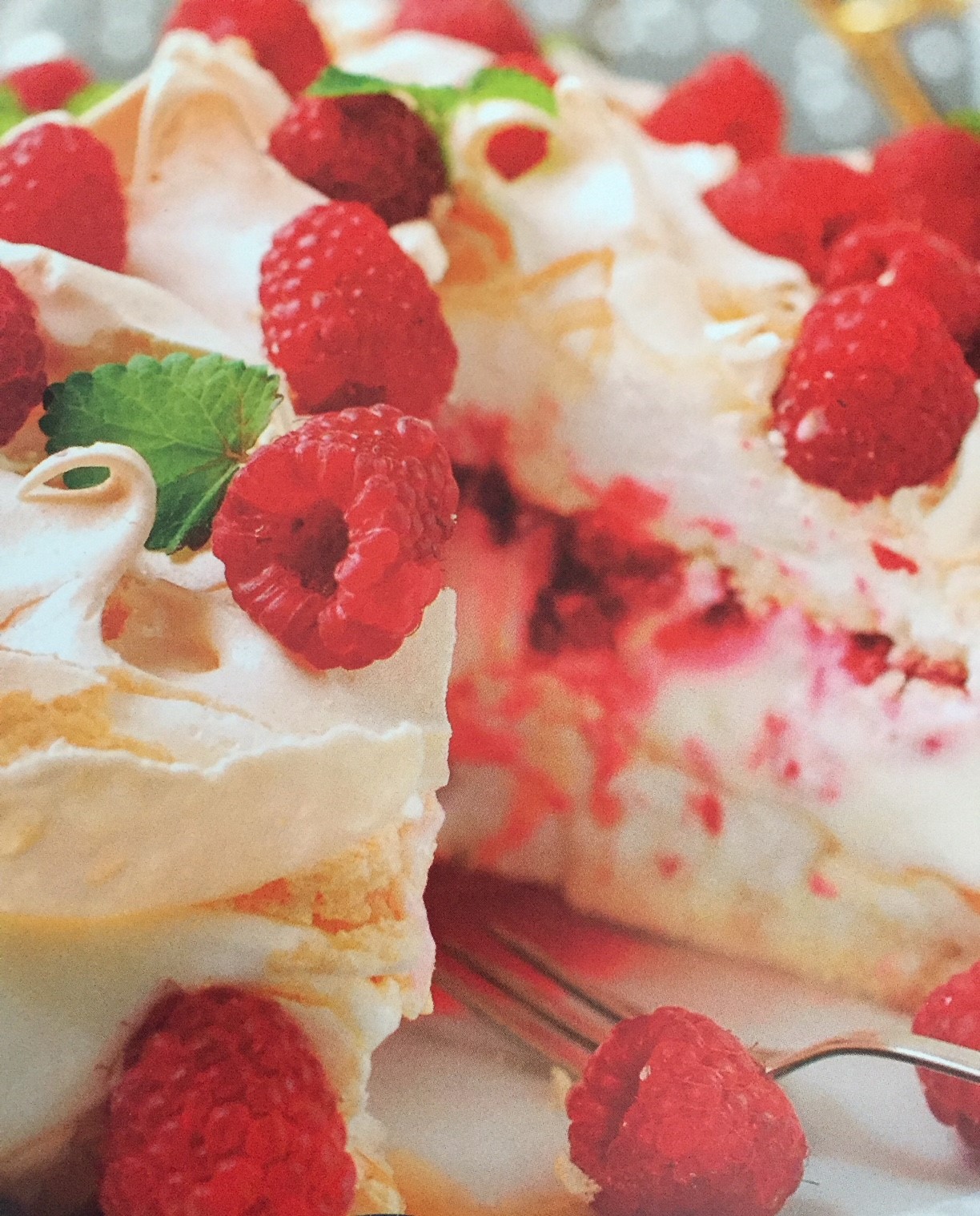 Happy Pavlova Holidays