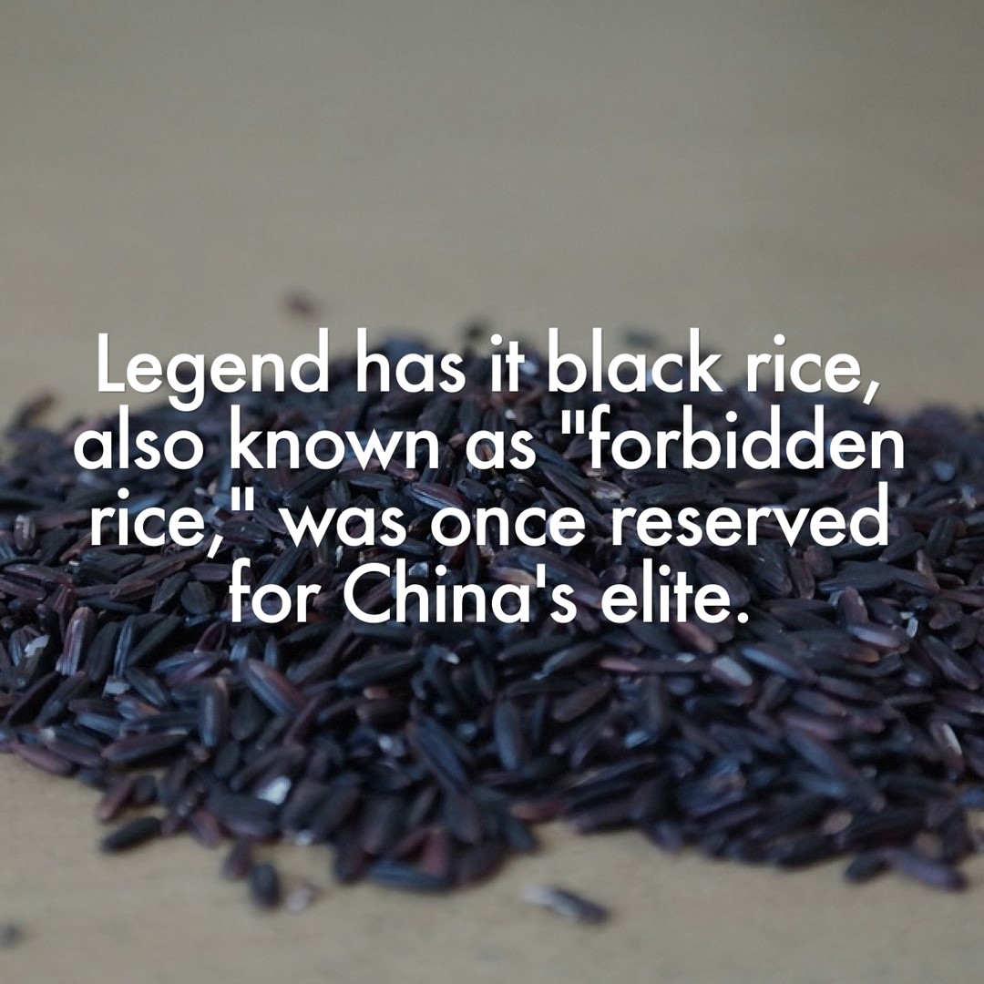 instagram_c86fcc8c44