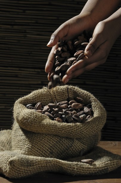 cocoa-beans-499970_1920