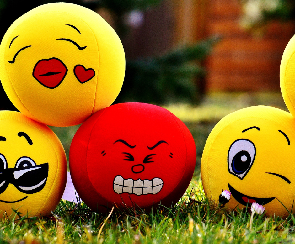 Adulting & Questionable Advice for Everyday Life